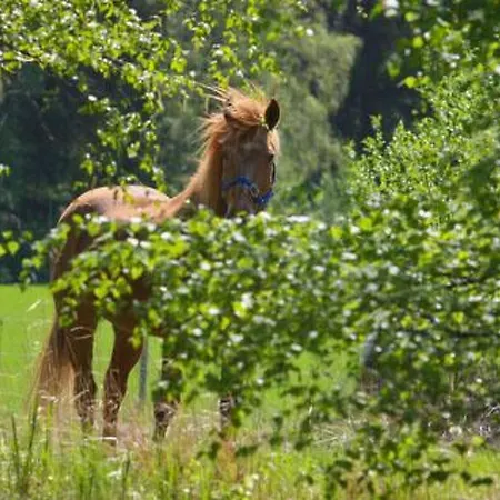 Peltotupa By Interhome * Patiala