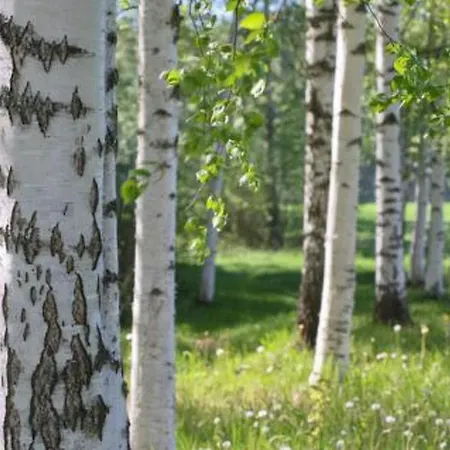 Peltotupa By Interhome *