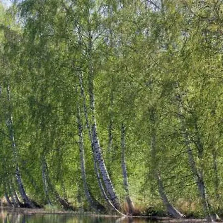 Peltotupa By Interhome Ferienhaus